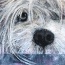 __neugierig - Terrier - Acryl auf Leinwand - 40x50cm